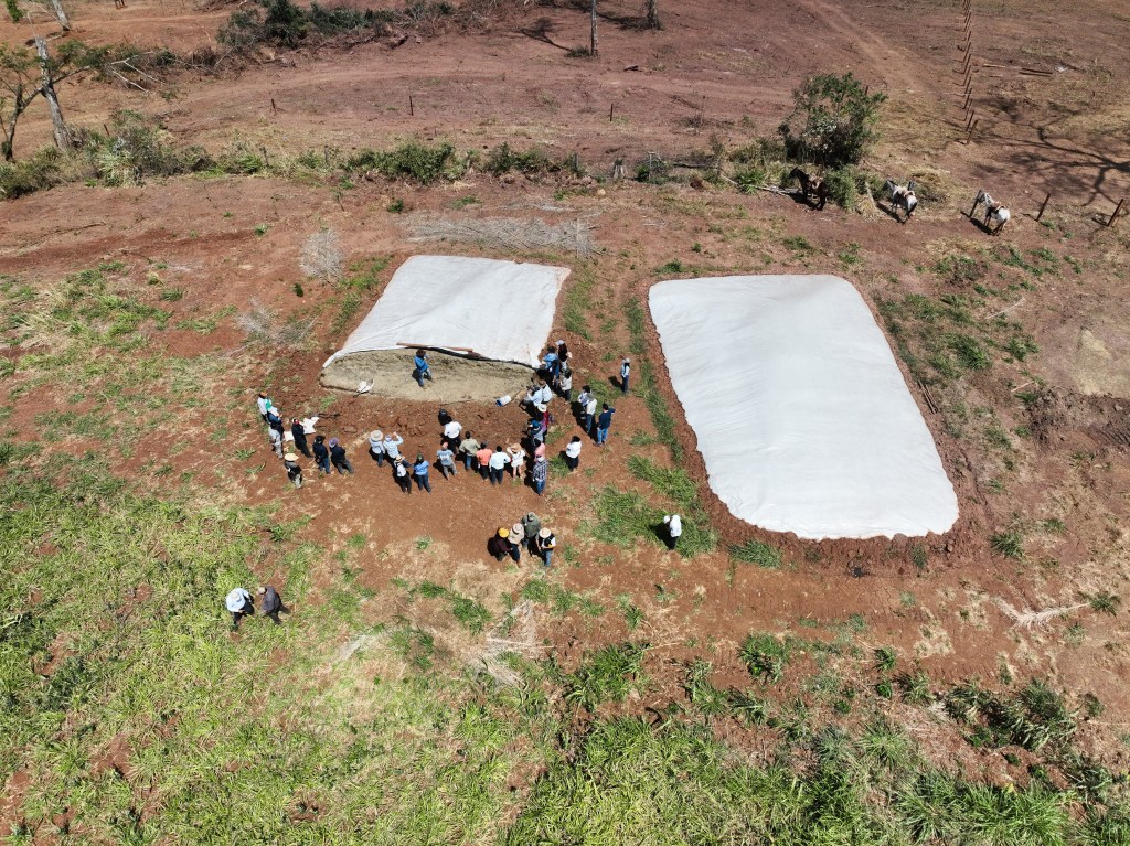Cuando el bosque se convierte en aula: Bolivia y el arte de producir sin&nbsp;destruir